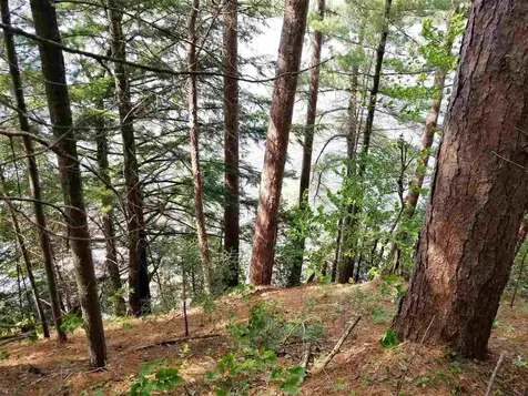 0 Island Brighton VT 05846