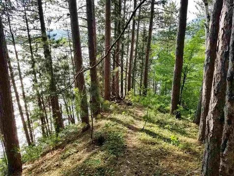 0 Island Brighton VT 05846