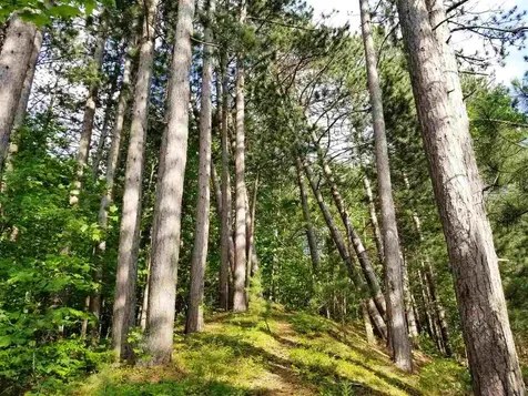 0 Island Brighton VT 05846