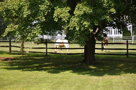 114 Meadow Lane Dorset VT 05251