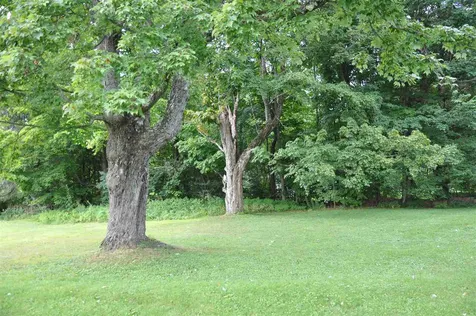 114 Meadow Lane Dorset VT 05251