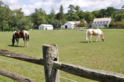 114 Meadow Lane Dorset VT 05251