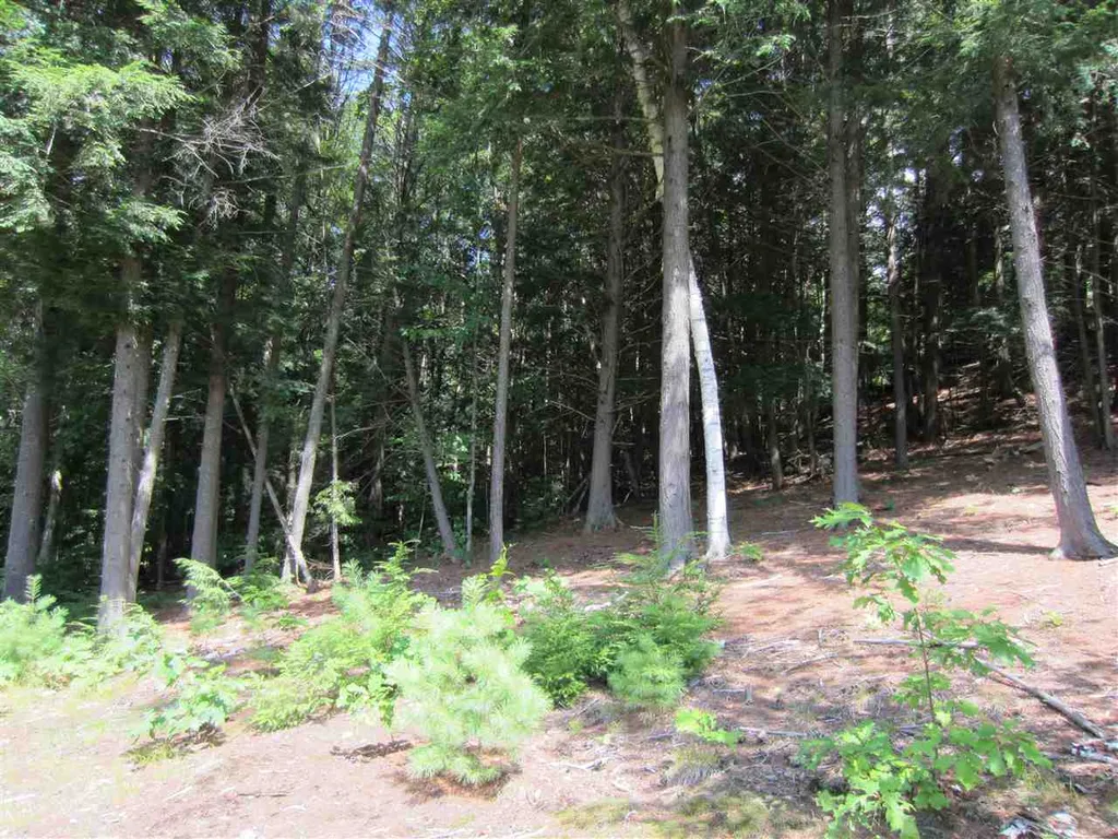 165 Bible Hill Road Bennington NH 03442