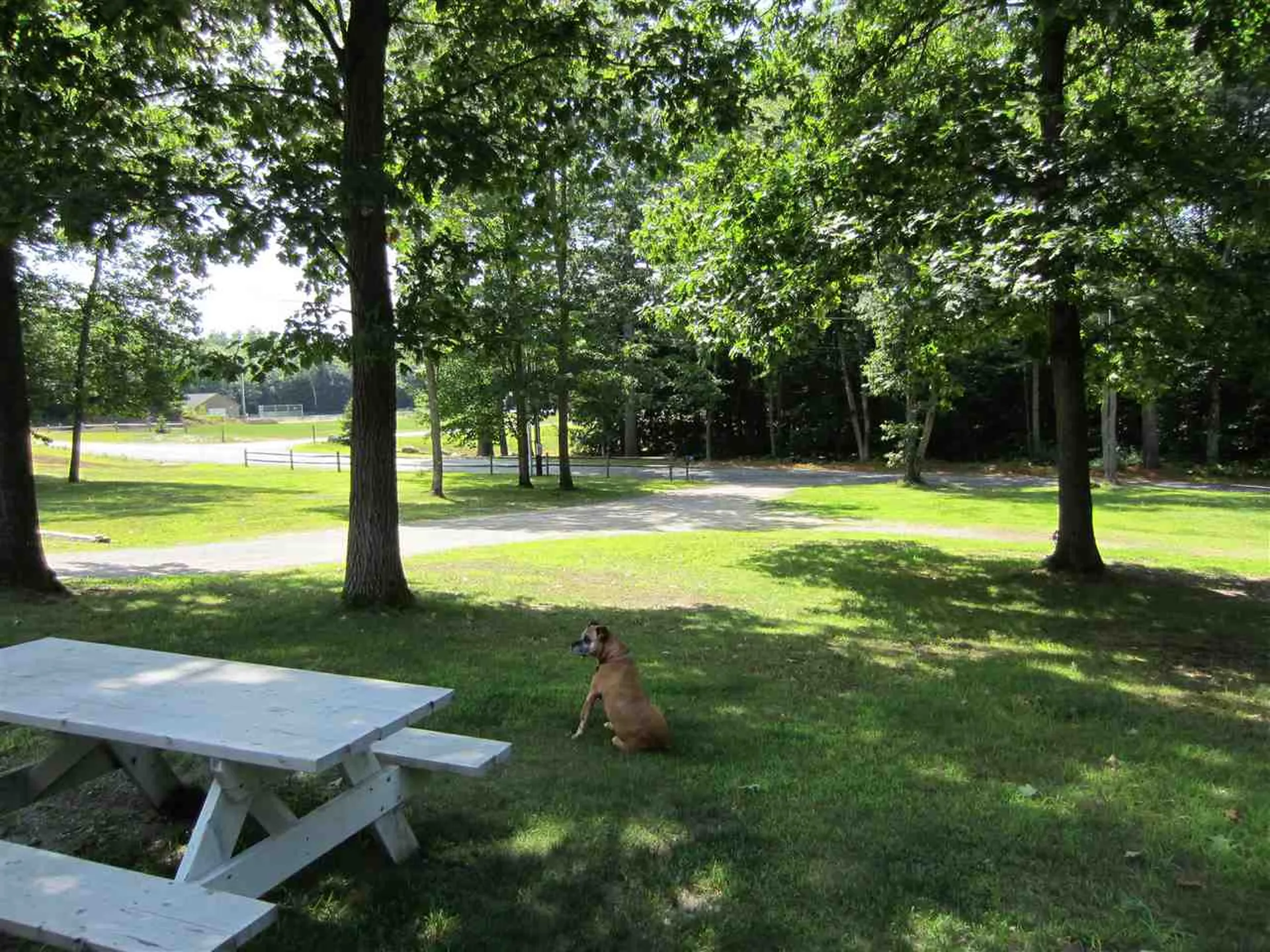165 Bible Hill Road Bennington NH 03442