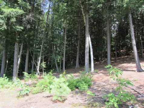 165 Bible Hill Road Bennington NH 03442