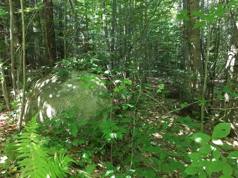 00 Brenner Drive Conway NH 03818