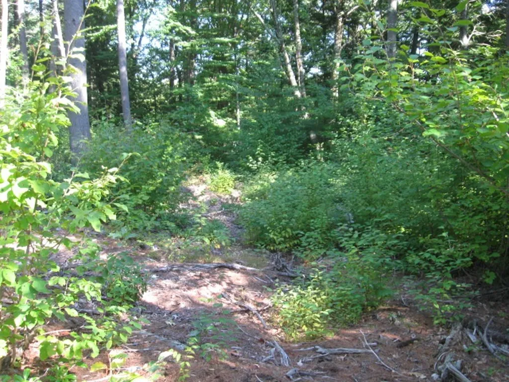 92 Winn Road Lyndeborough NH 03082