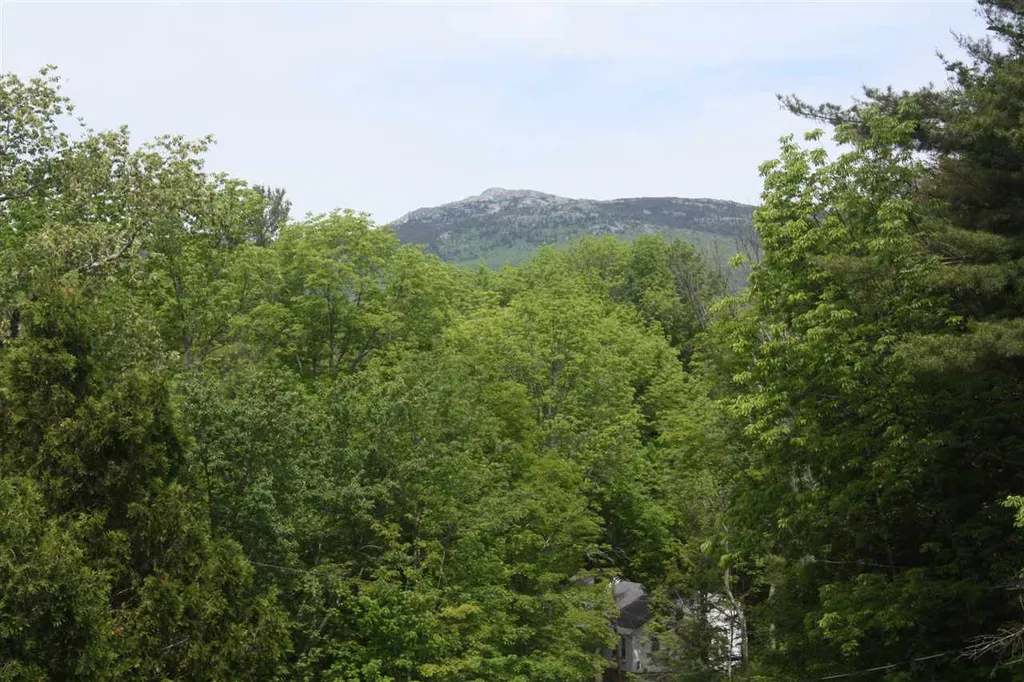 38 Blackberry Lane Jaffrey NH 03452