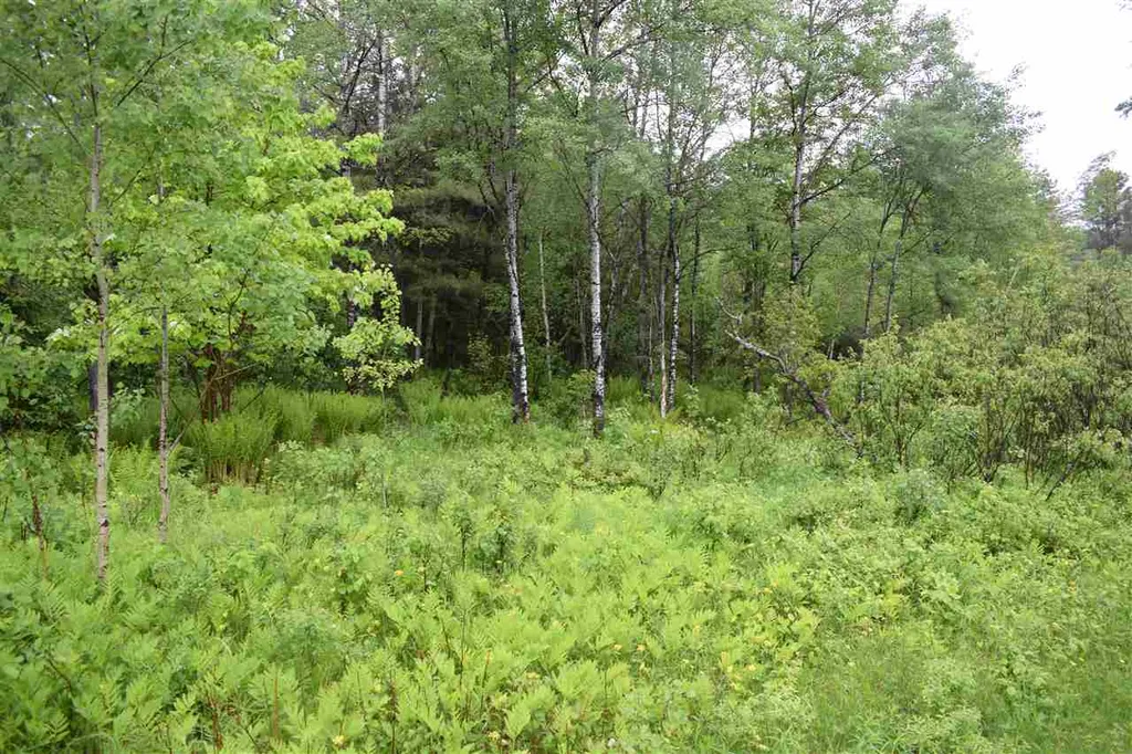 0 Route 105 West Bloomfield VT 05905