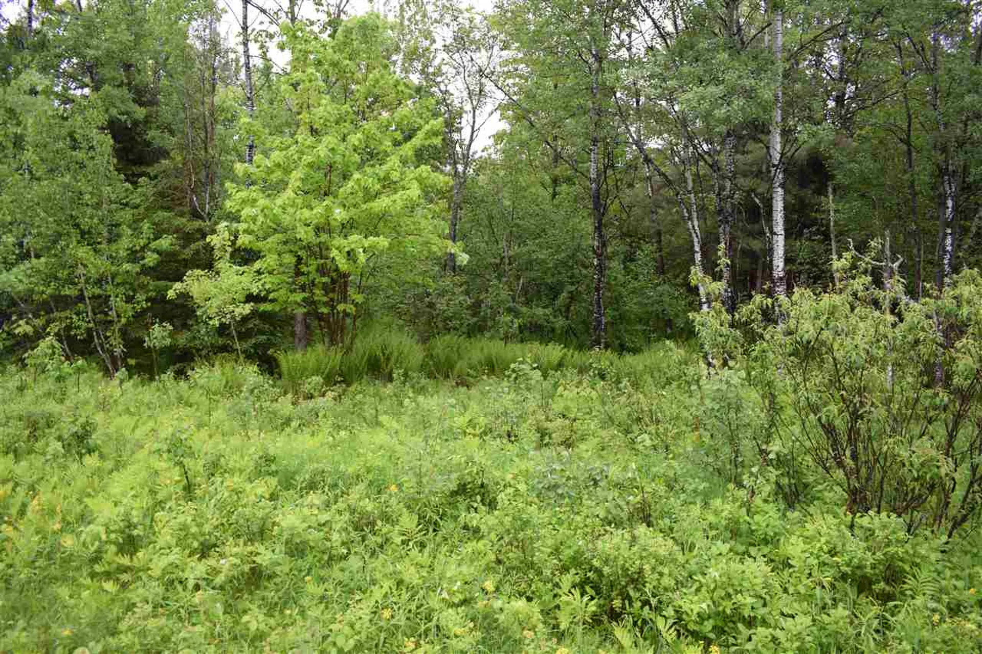 0 Route 105 West Bloomfield VT 05905