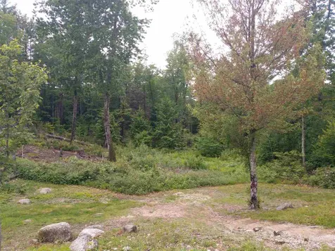 72 Blueberry Hill Road Deering NH 03244