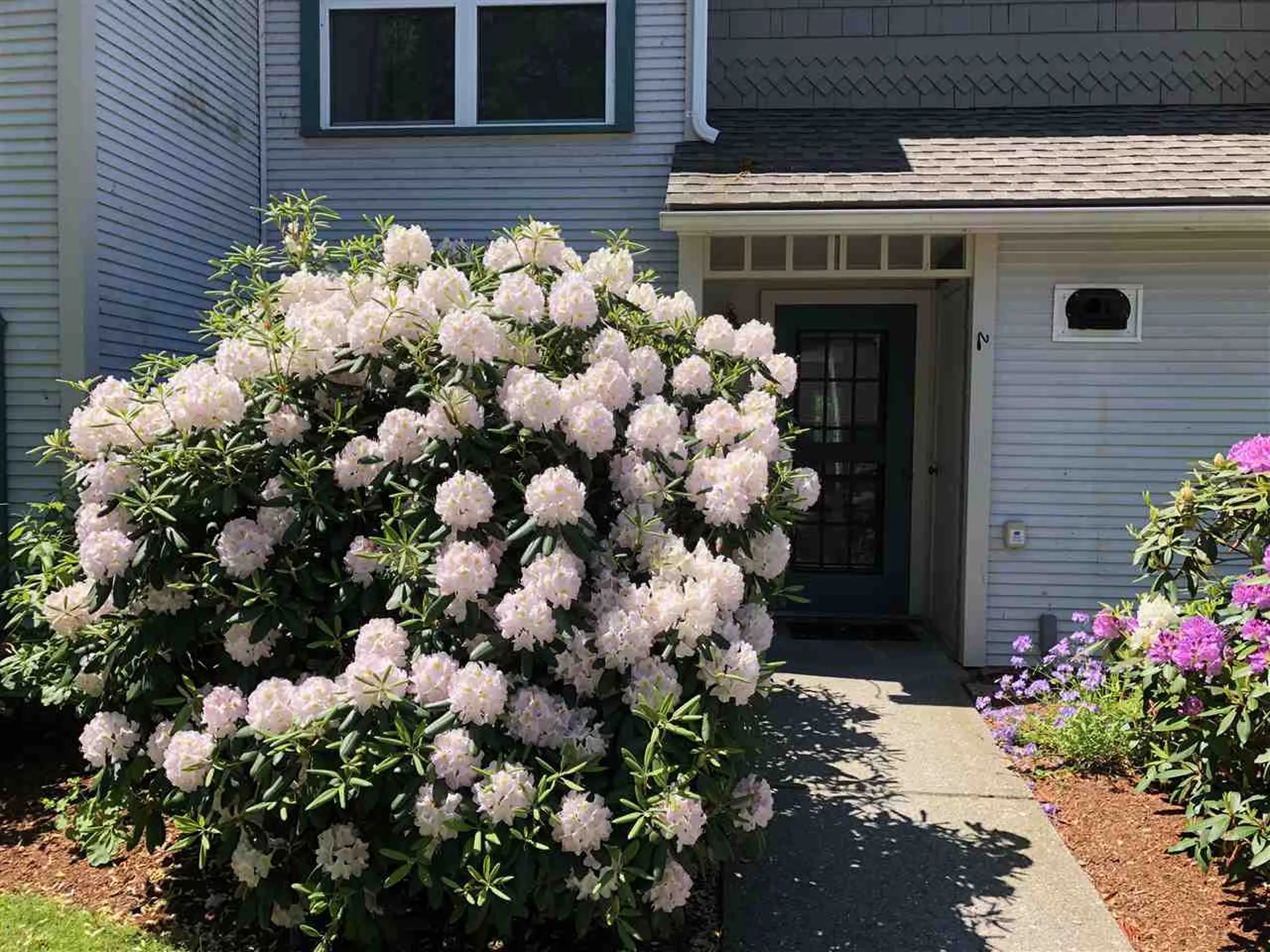 5 Northshore Drive Burlington VT 05408