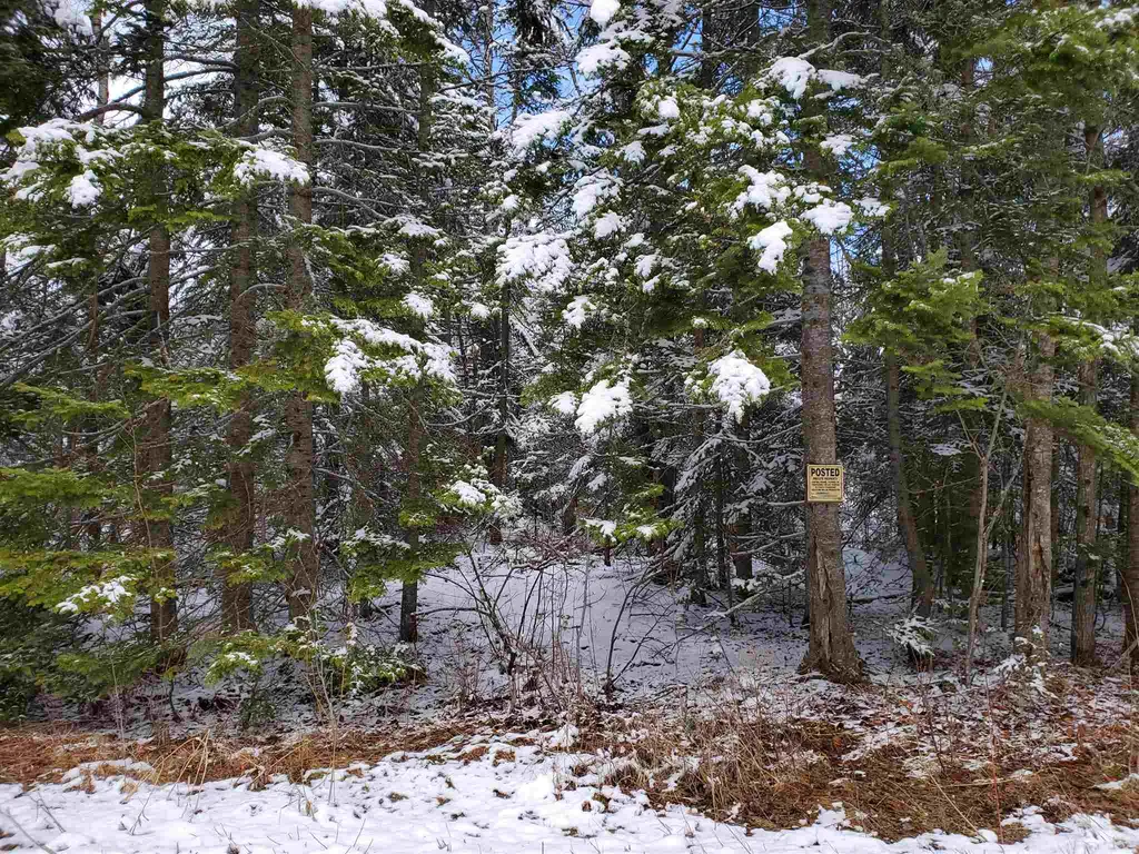 529 Beech Hill Road Bethlehem NH 03574