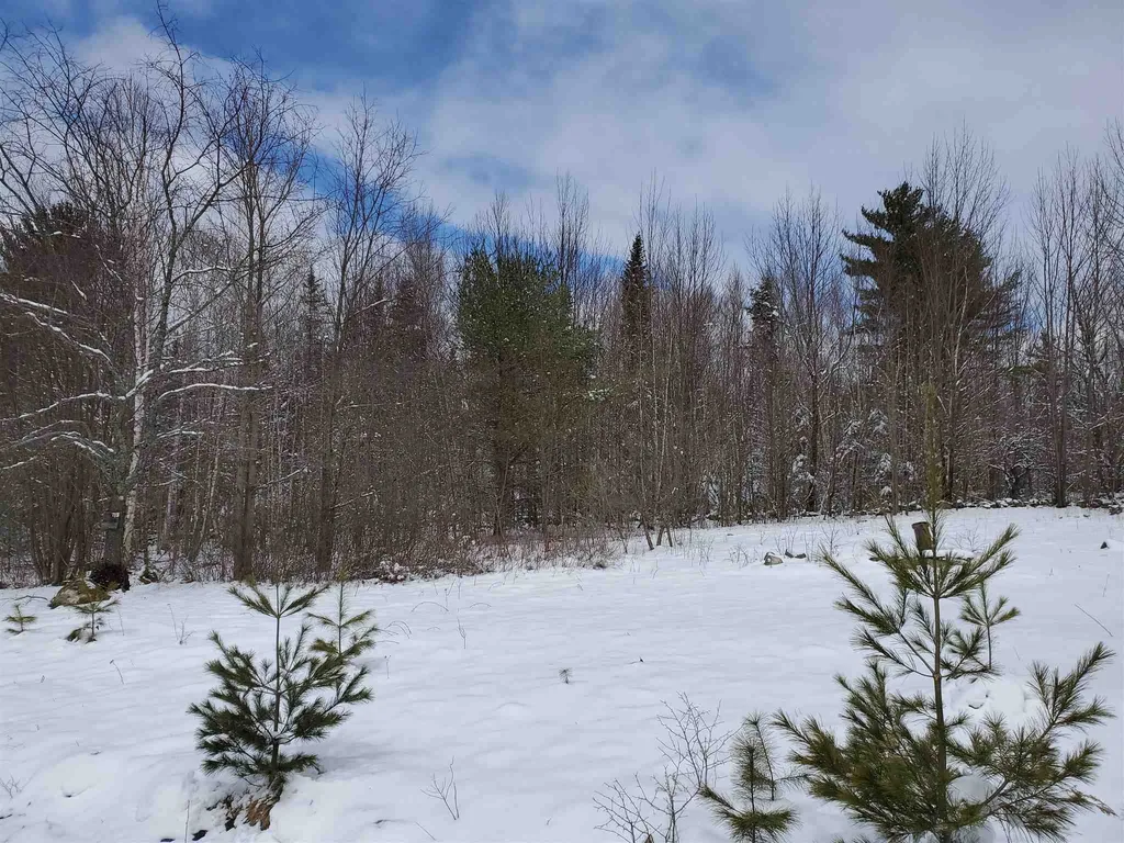 529 Beech Hill Road Bethlehem NH 03574