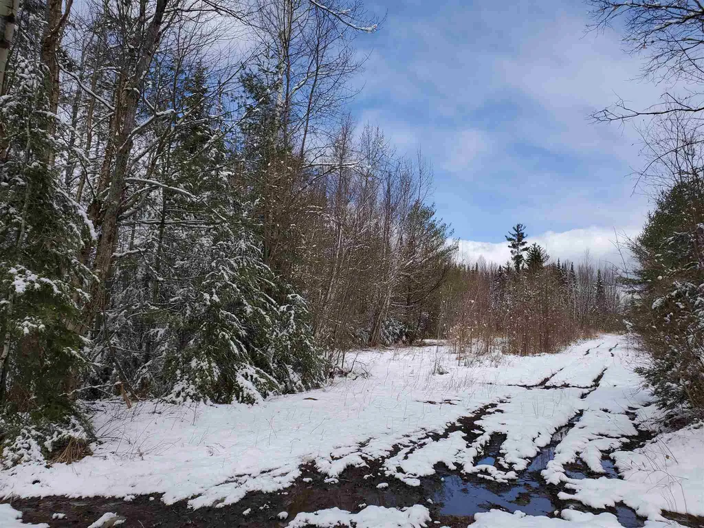 529 Beech Hill Road Bethlehem NH 03574
