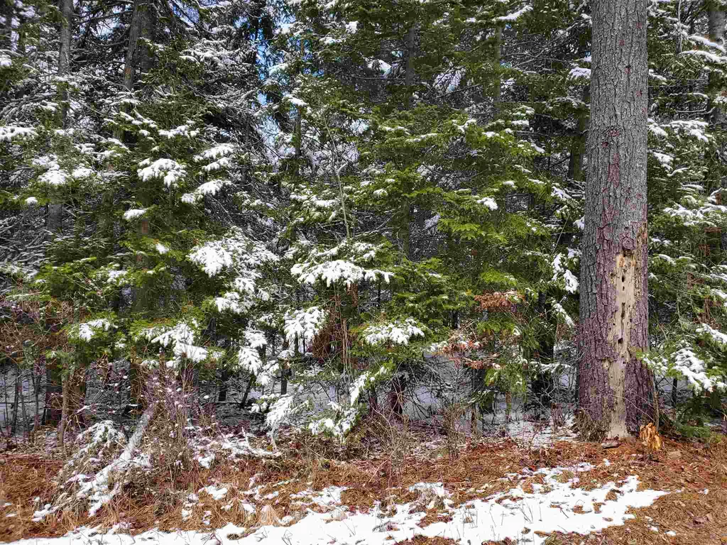529 Beech Hill Road Bethlehem NH 03574