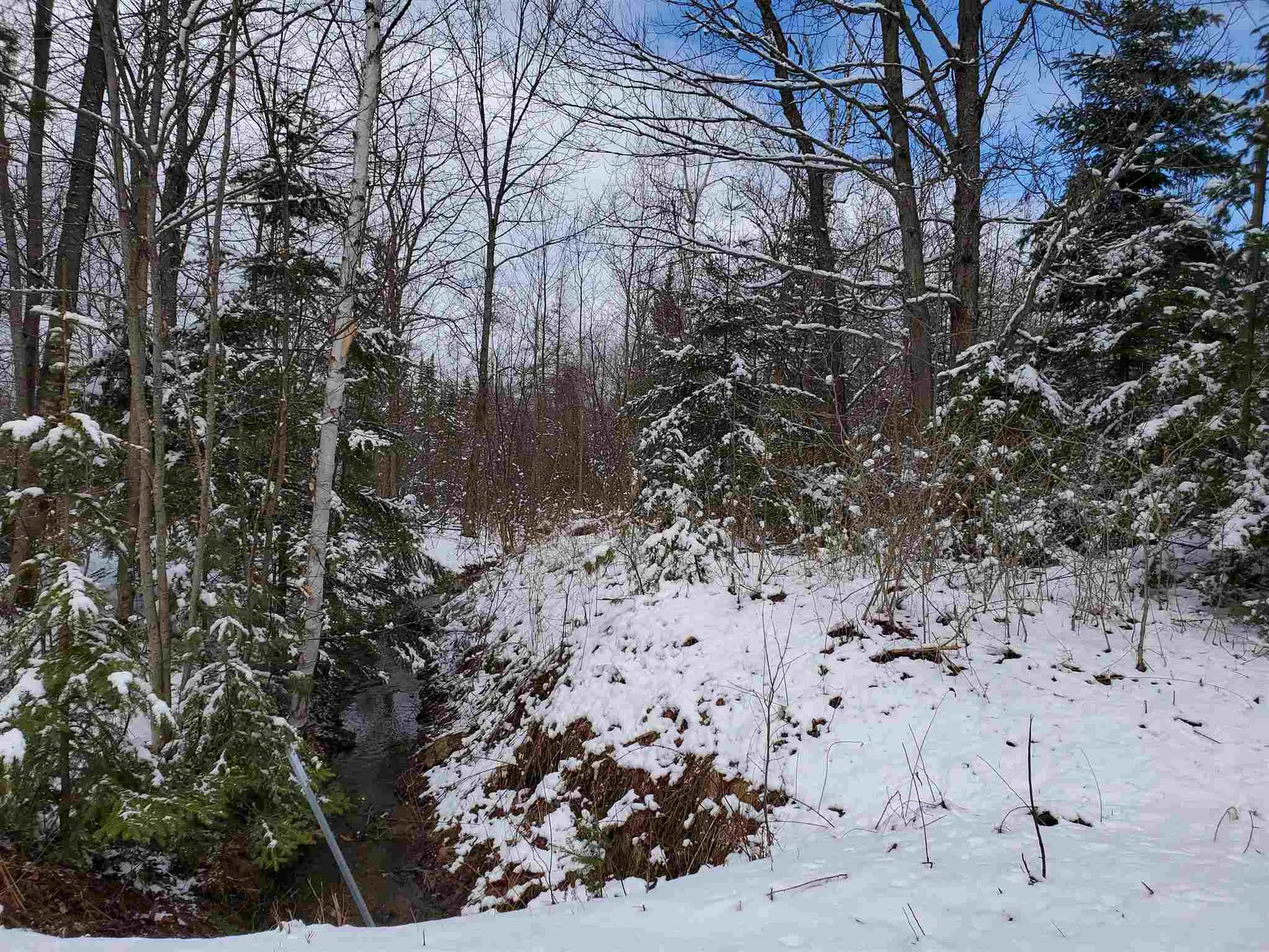 529 Beech Hill Road Bethlehem NH 03574