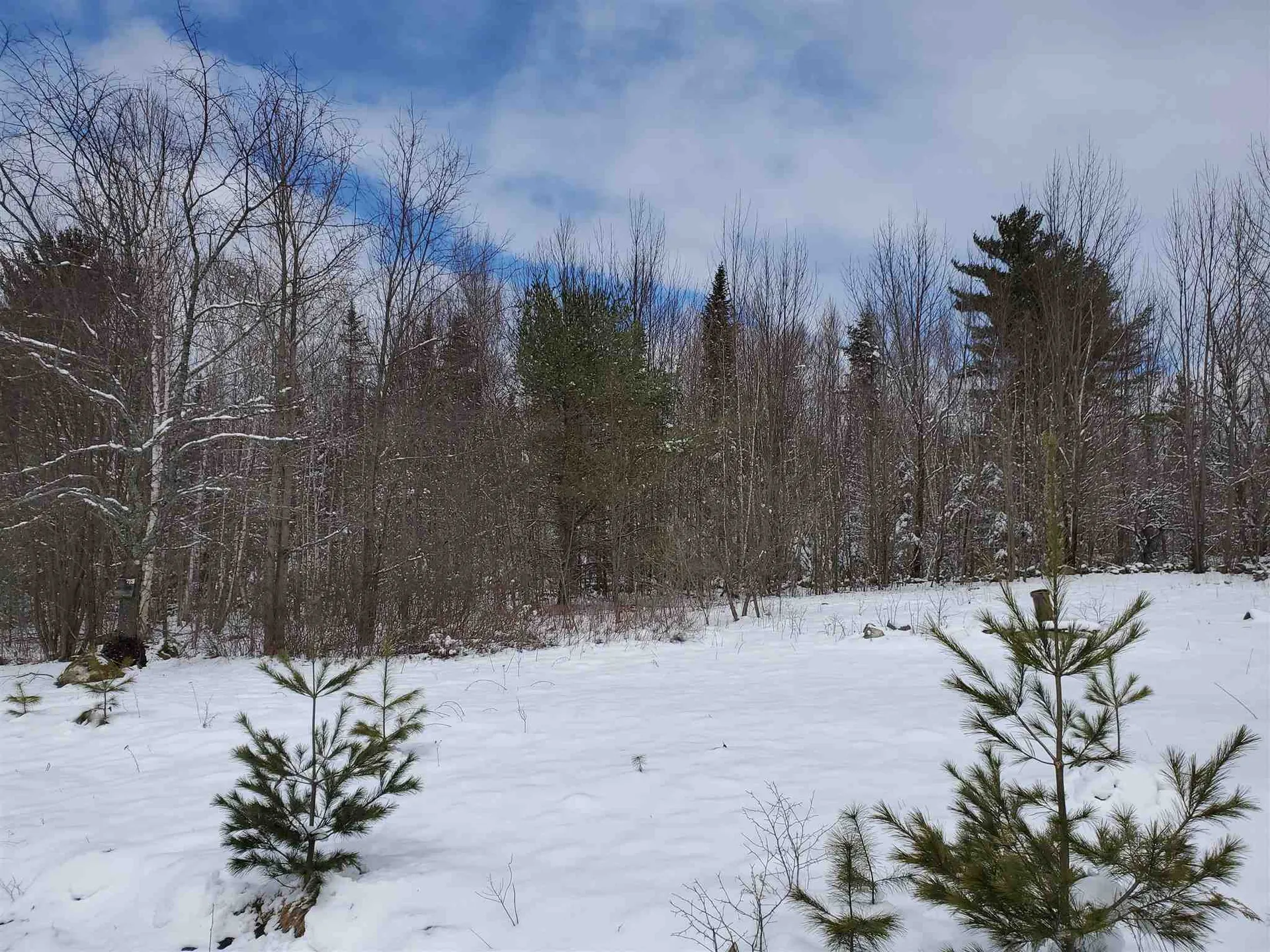 529 Beech Hill Road Bethlehem NH 03574