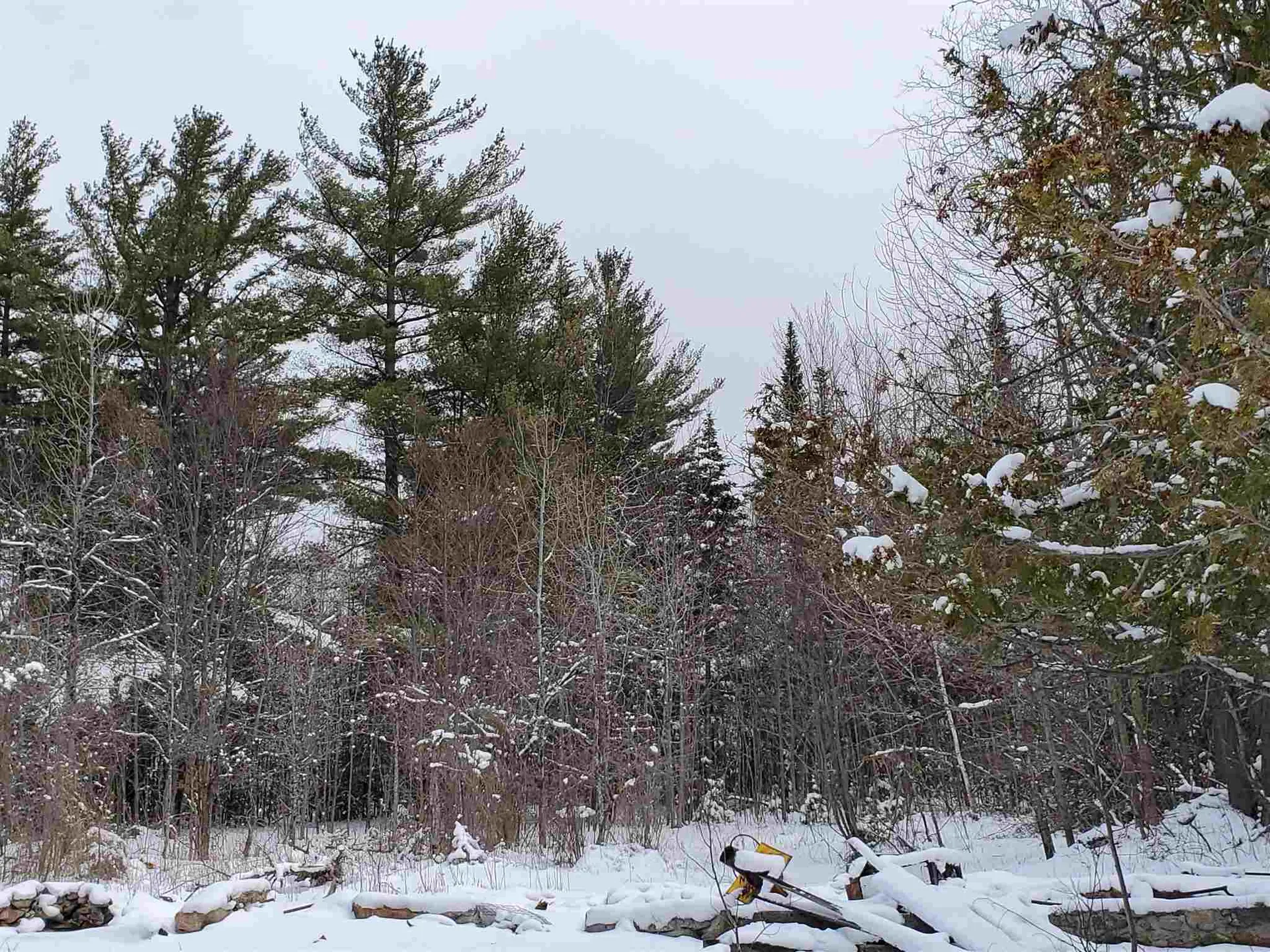 529 Beech Hill Road Bethlehem NH 03574