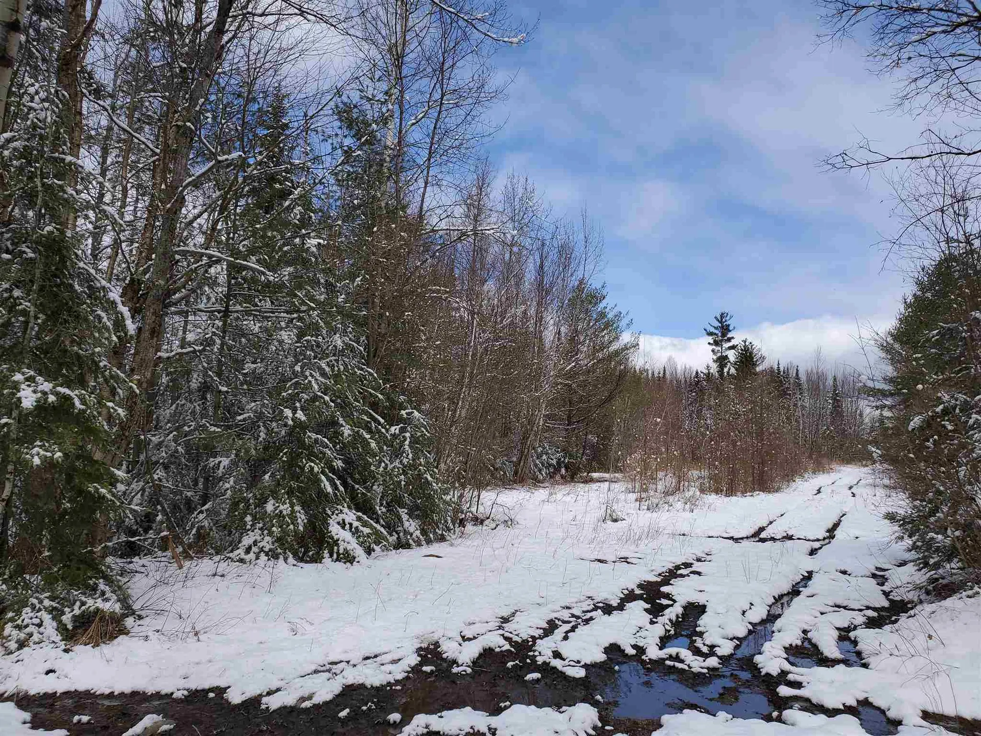 529 Beech Hill Road Bethlehem NH 03574