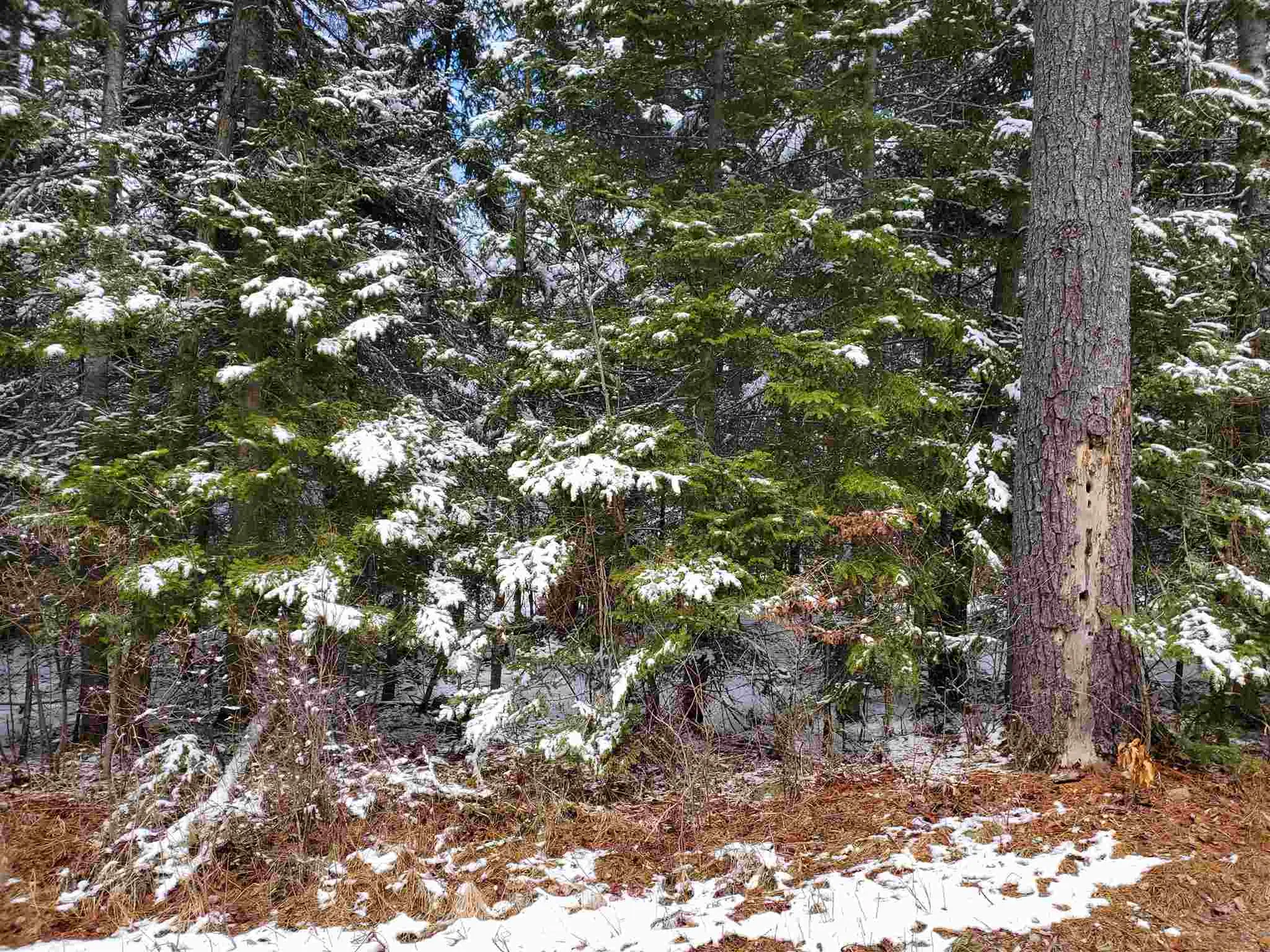 529 Beech Hill Road Bethlehem NH 03574