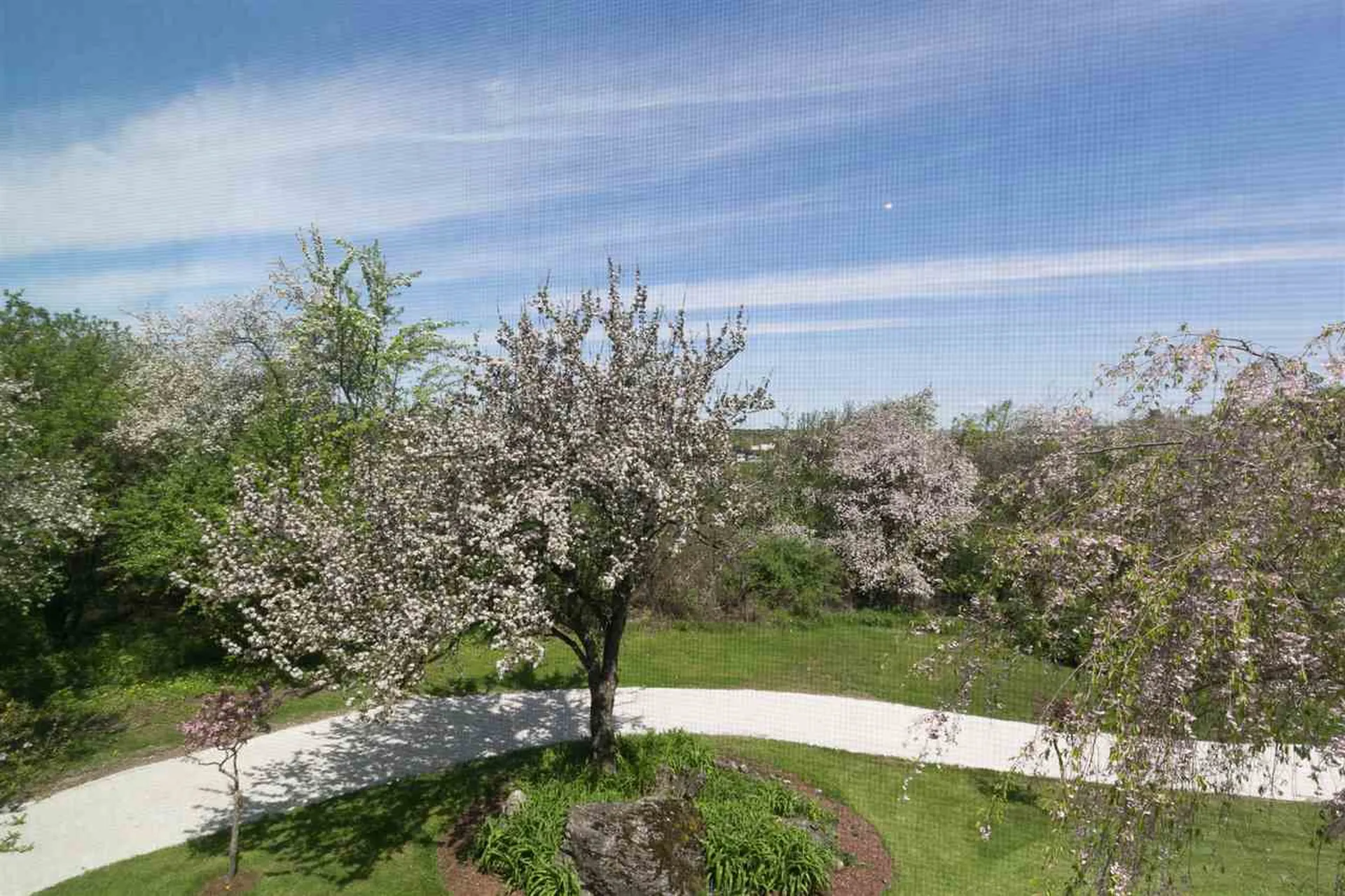 228 Blue Heron Drive Williston VT 05495