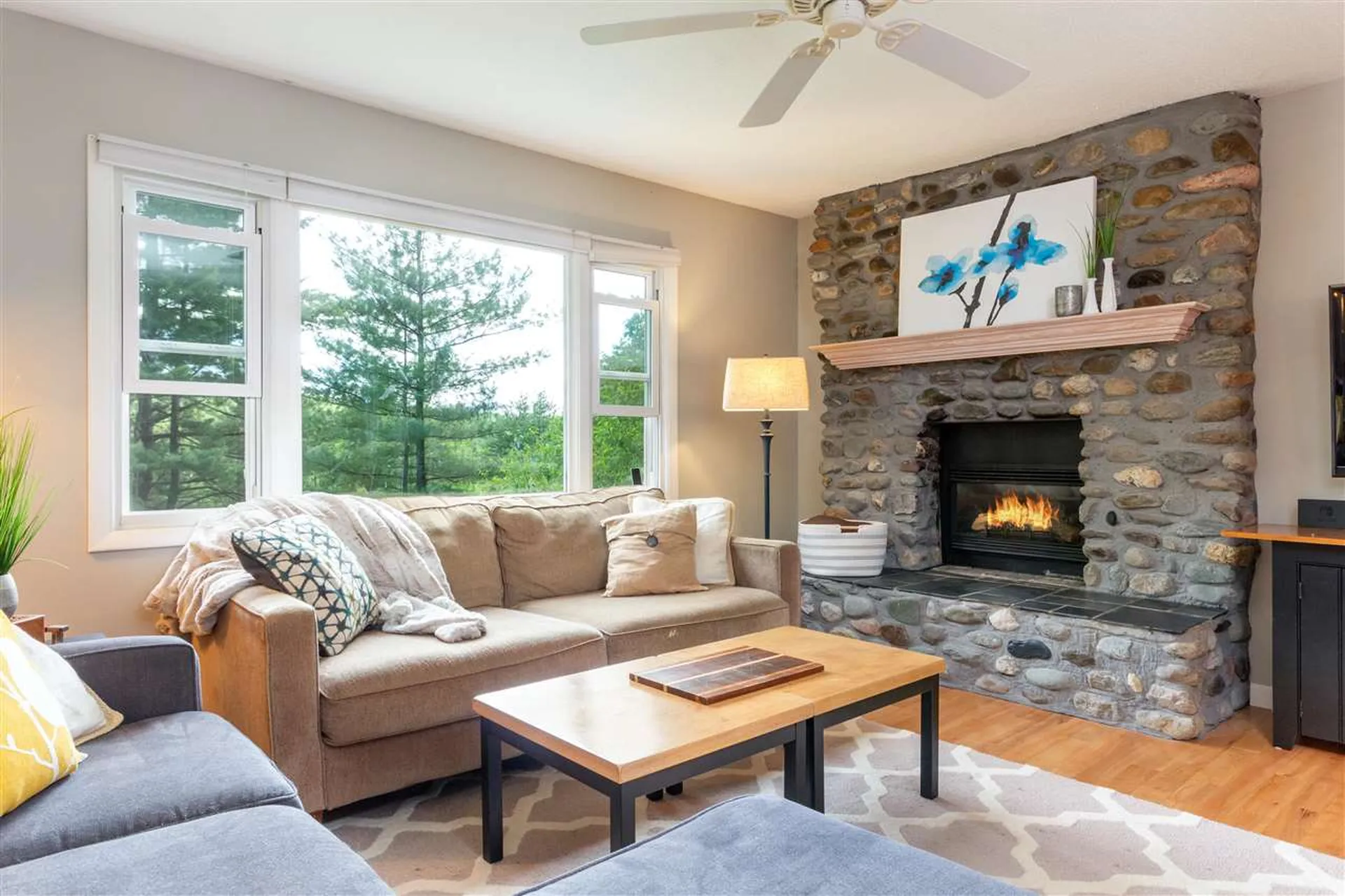 34 Skyview Drive Jericho VT 05465