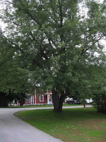 2227 Main Street Cavendish VT 05142