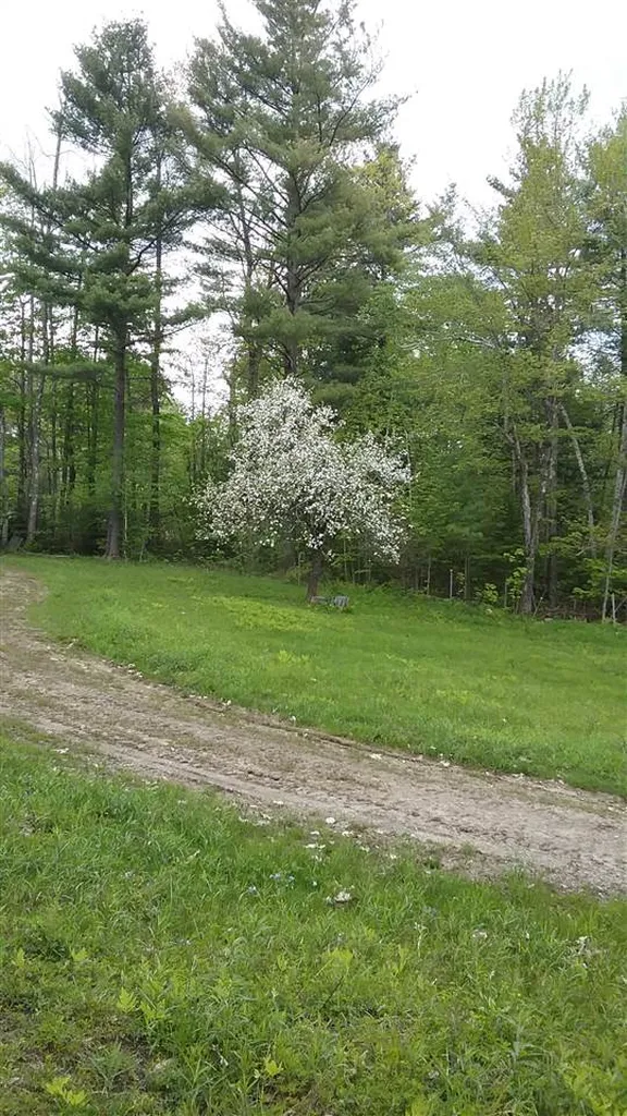00 Prospect Hill Road Sunapee NH 03751