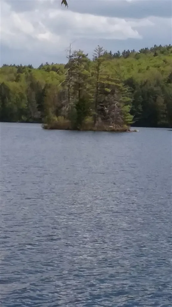 00 Prospect Hill Road Sunapee NH 03751