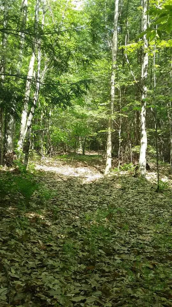 00 Prospect Hill Road Sunapee NH 03751