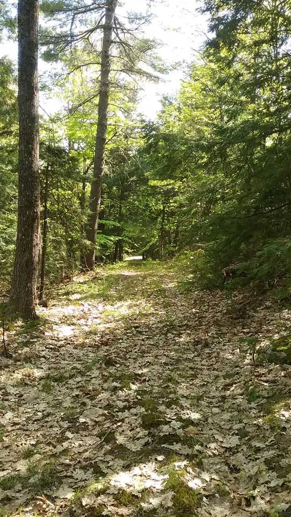 00 Prospect Hill Road Sunapee NH 03751