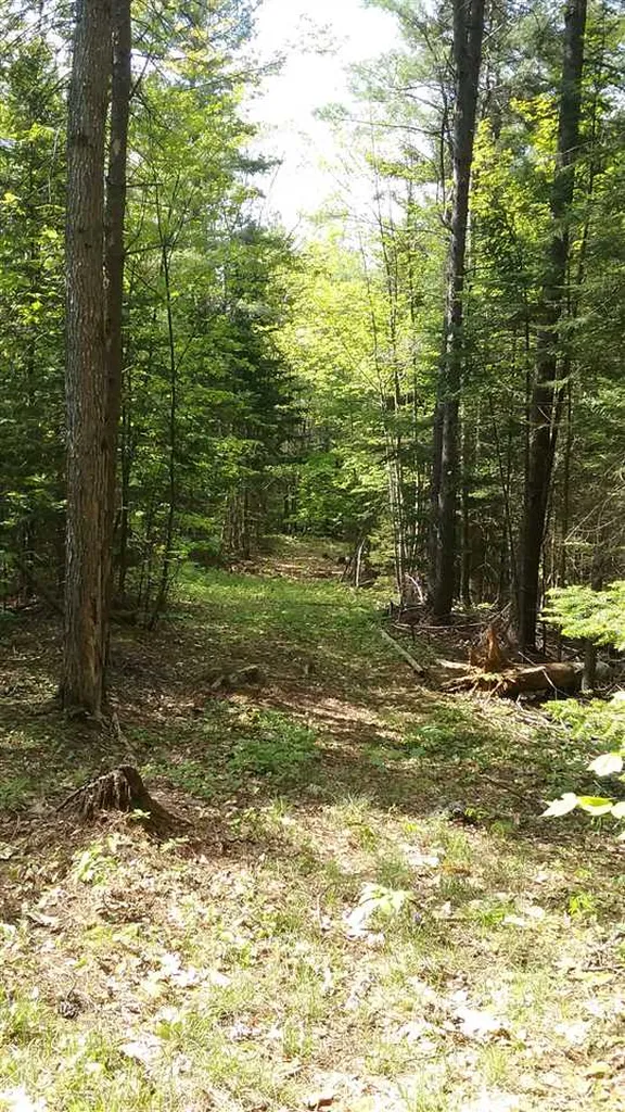 00 Prospect Hill Road Sunapee NH 03751