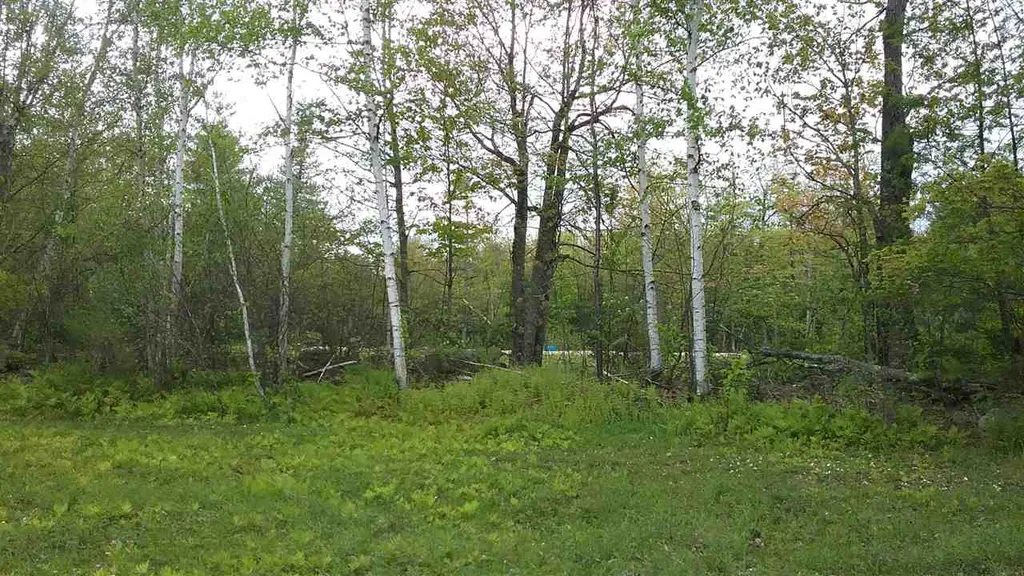 00 Prospect Hill Road Sunapee NH 03751