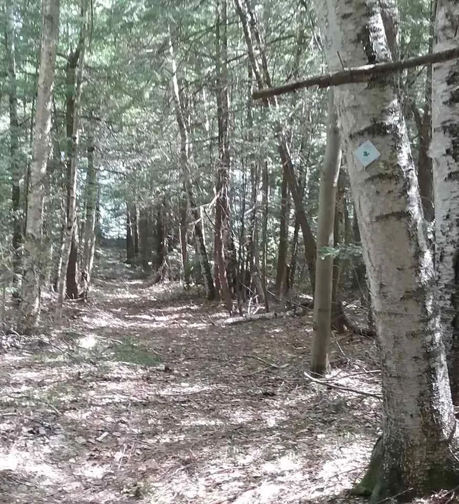 00 Prospect Hill Road Sunapee NH 03751