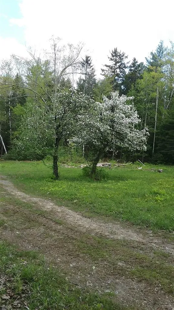 00 Prospect Hill Road Sunapee NH 03751