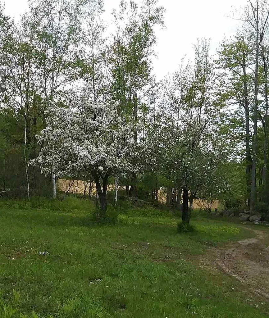 00 Prospect Hill Road Sunapee NH 03751