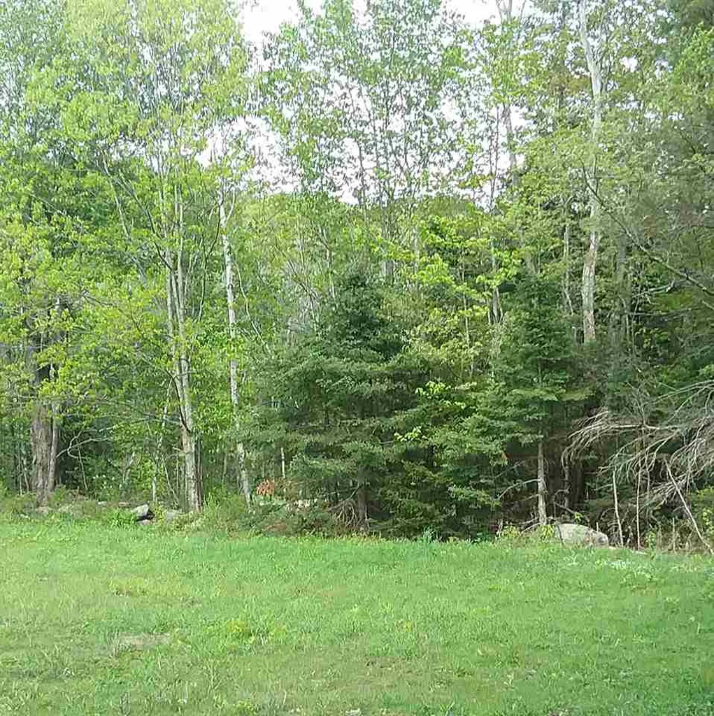00 Prospect Hill Road Sunapee NH 03751