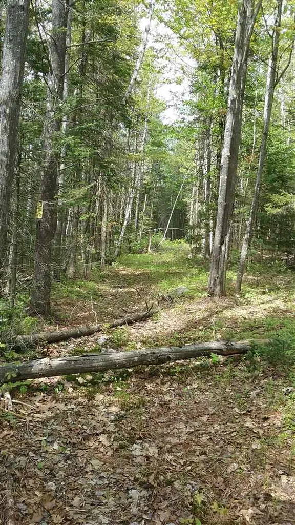 00 Prospect Hill Road Sunapee NH 03751