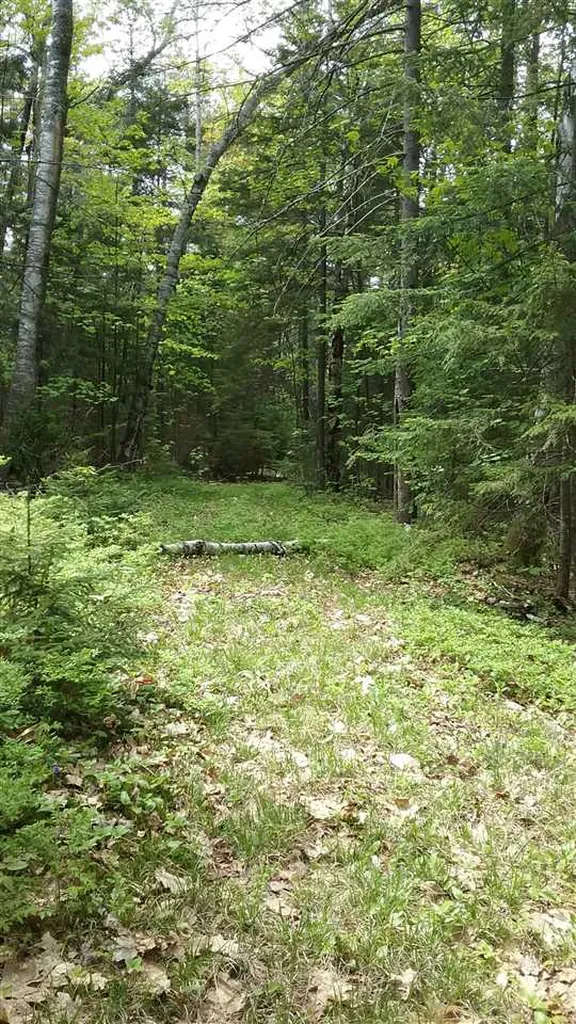 00 Prospect Hill Road Sunapee NH 03751