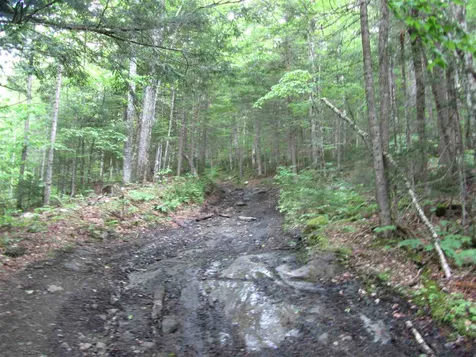 0 Grass Road Washington VT 05675