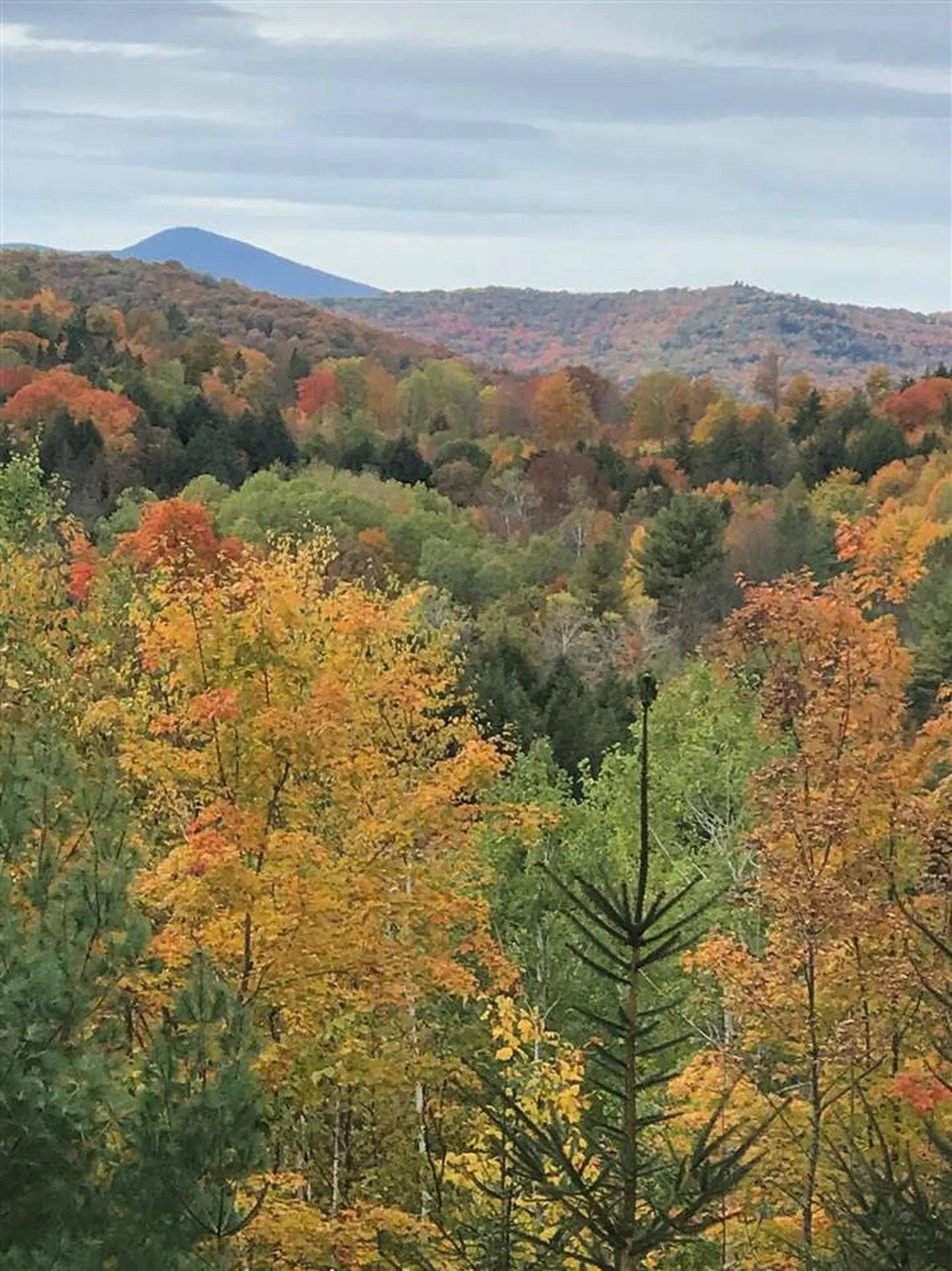 3057 Church Hill Road Woodstock VT 05091
