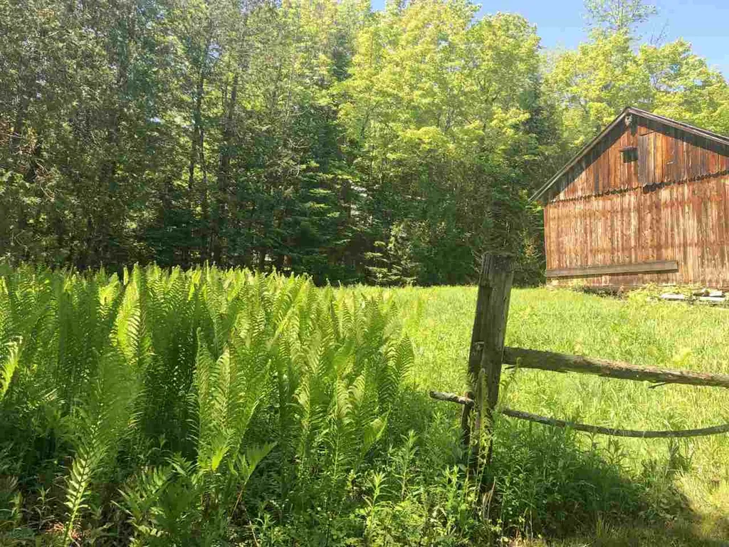 1140 Center Pond Road Newark VT 05871