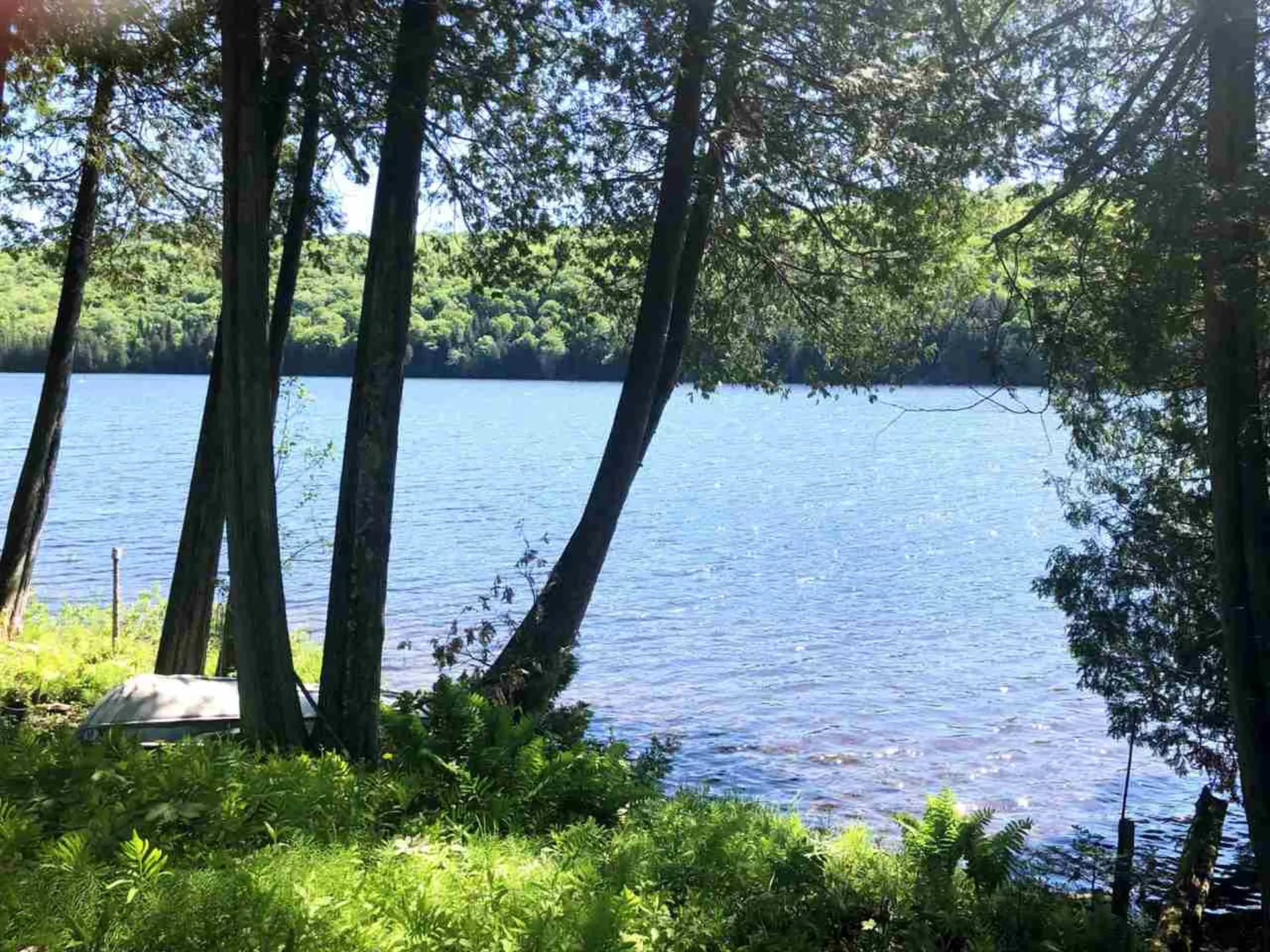 1140 Center Pond Road Newark VT 05871