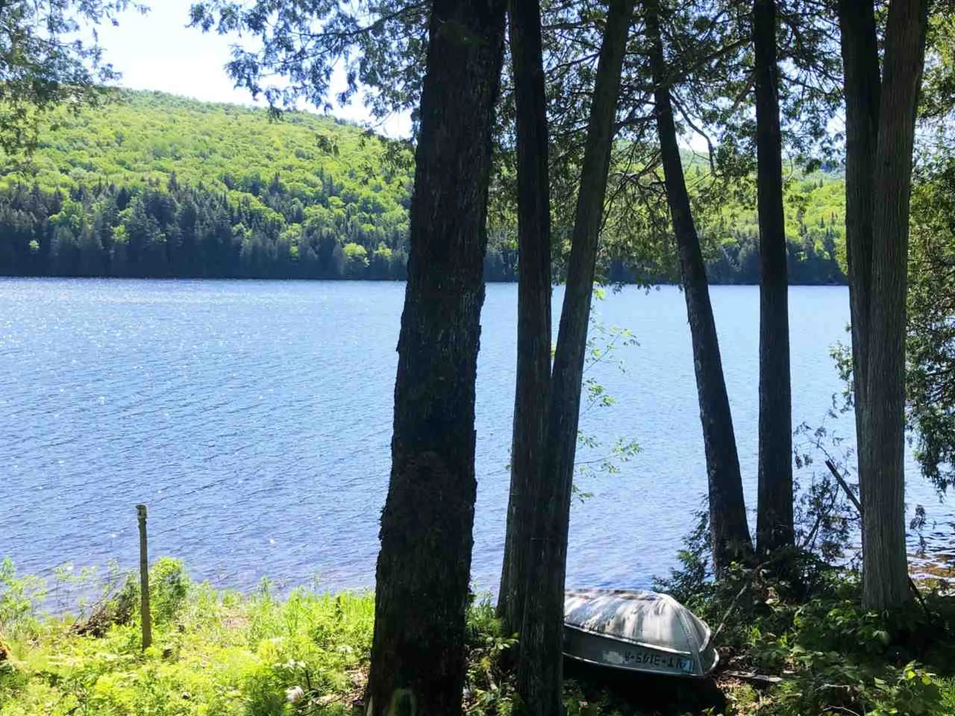 1140 Center Pond Road Newark VT 05871