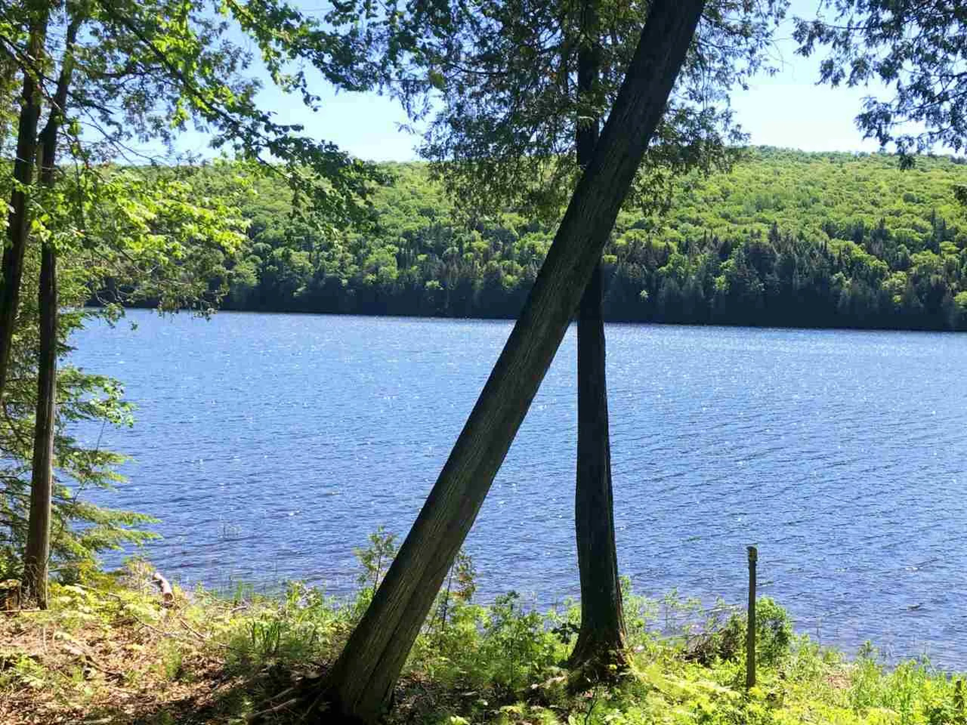 1140 Center Pond Road Newark VT 05871