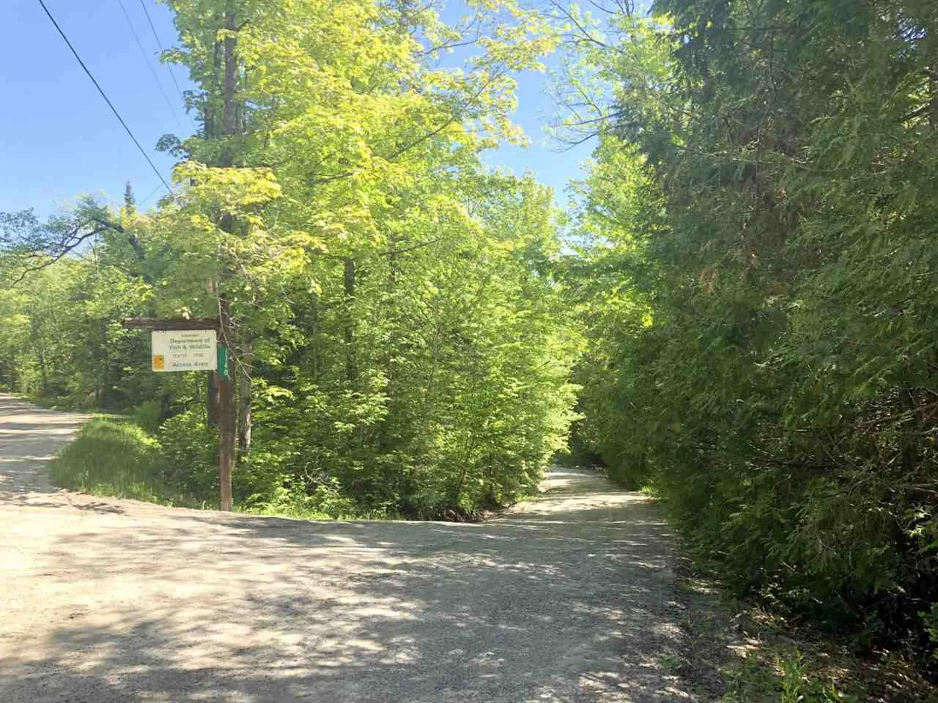 1140 Center Pond Road Newark VT 05871