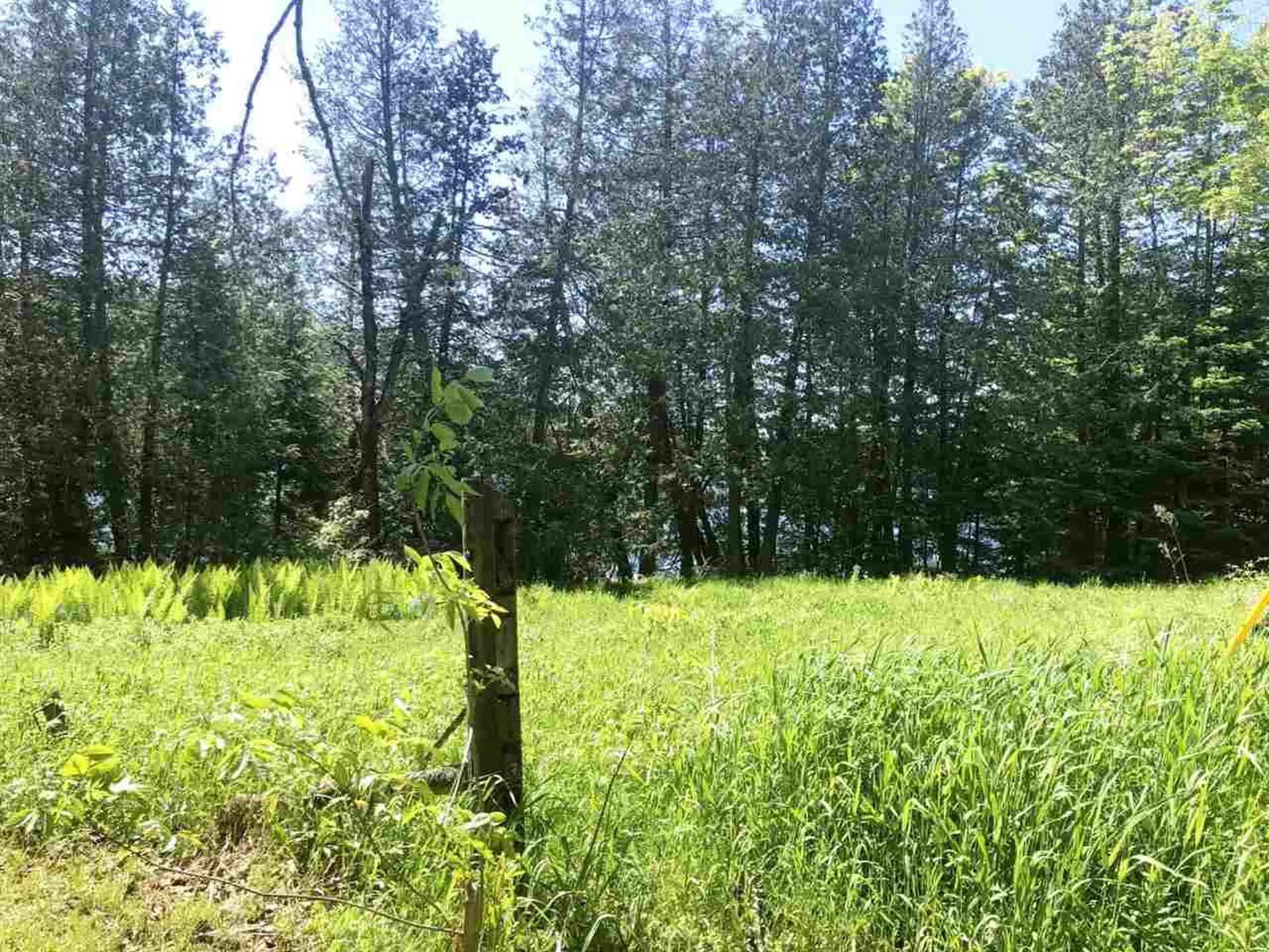 1140 Center Pond Road Newark VT 05871