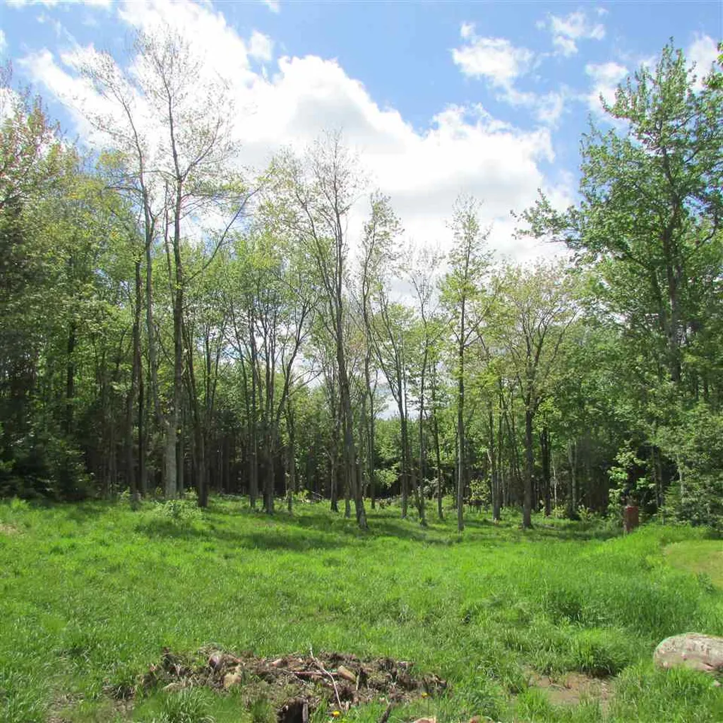 859 Fuller Hill Road Whitingham VT 05361