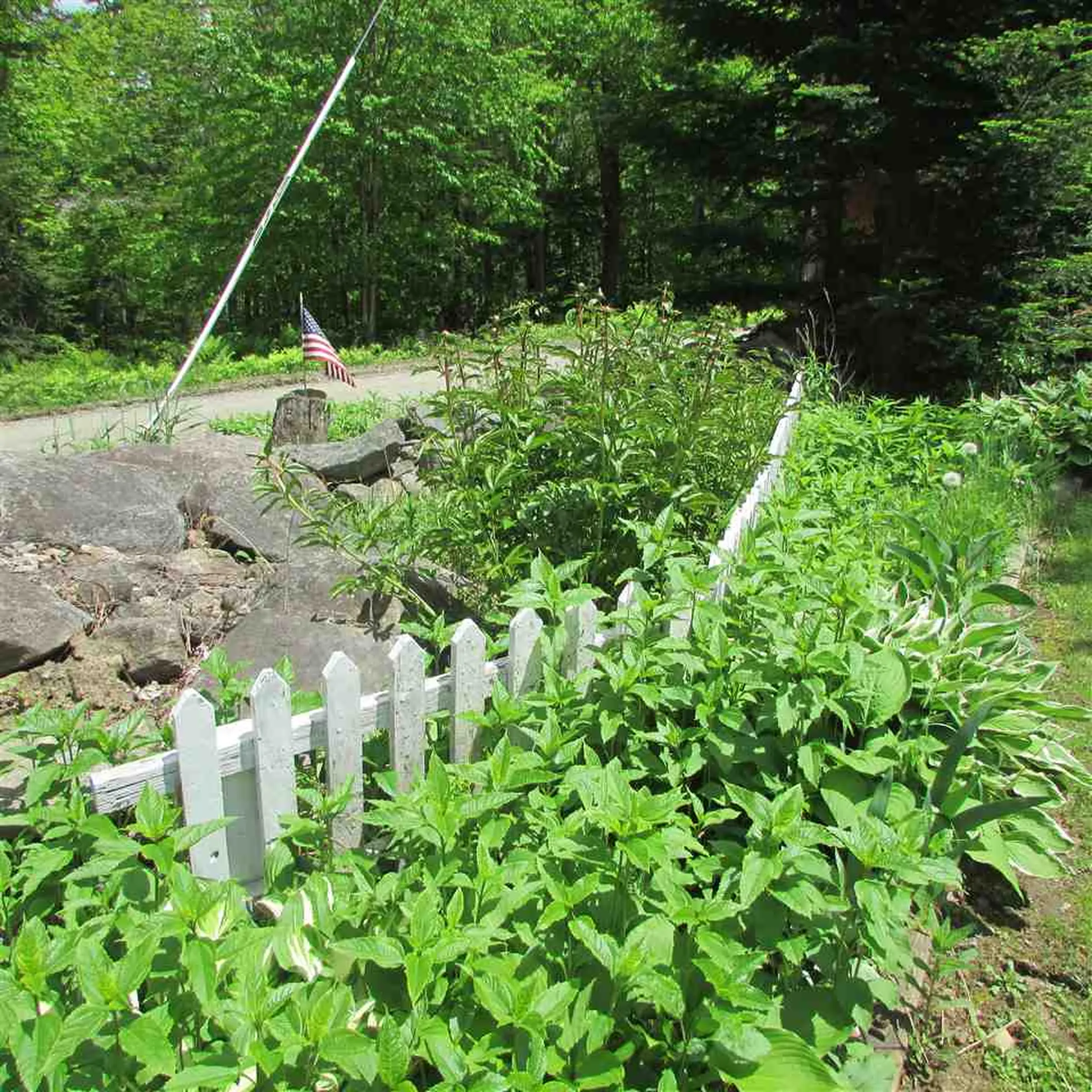 859 Fuller Hill Road Whitingham VT 05361